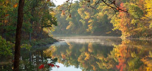 Lake and Trees in Autumn Color in Morning Light in Northern Minnesota
